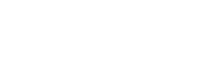 Настоящий Электронный Полис